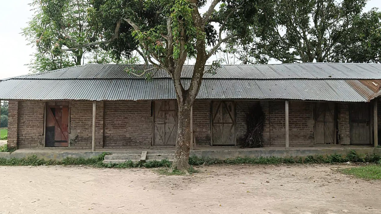 বদলগাছীর তিন দাখিল মাদ্রাসায় শতভাগ অকৃতকার্য