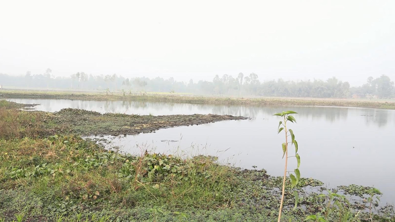 আগুনে জ্বলে, পানিতে ভাসে: অস্তিত্ব সংকটে কঞ্চনা বিলের রহস্যময় মাটি