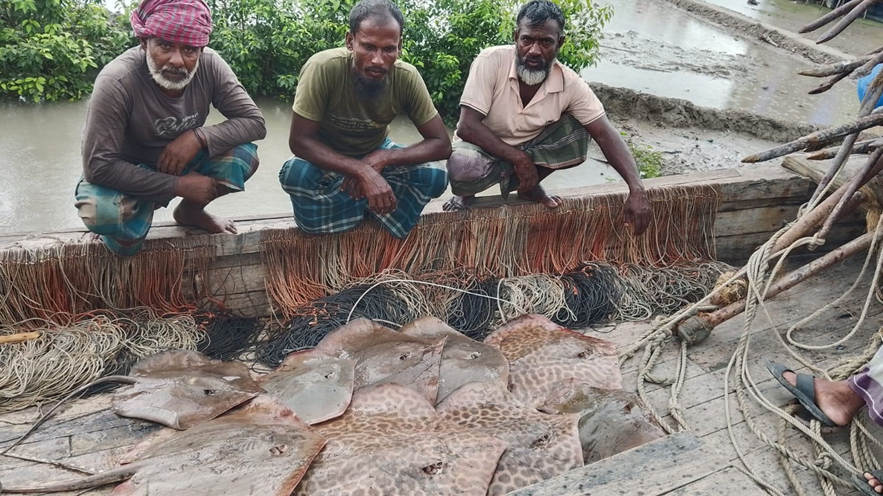 সুন্দরবনে নিষিদ্ধ শাপলাপাতা মাছসহ ৬ জেলে আটক