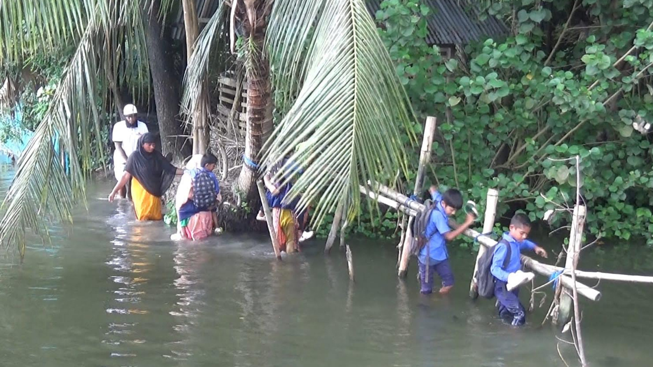 বাগেরহাটে কালভার্ট থাকলেও নেই সংযোগ সড়ক, কোমরসমান পানিতে যাতায়াত
