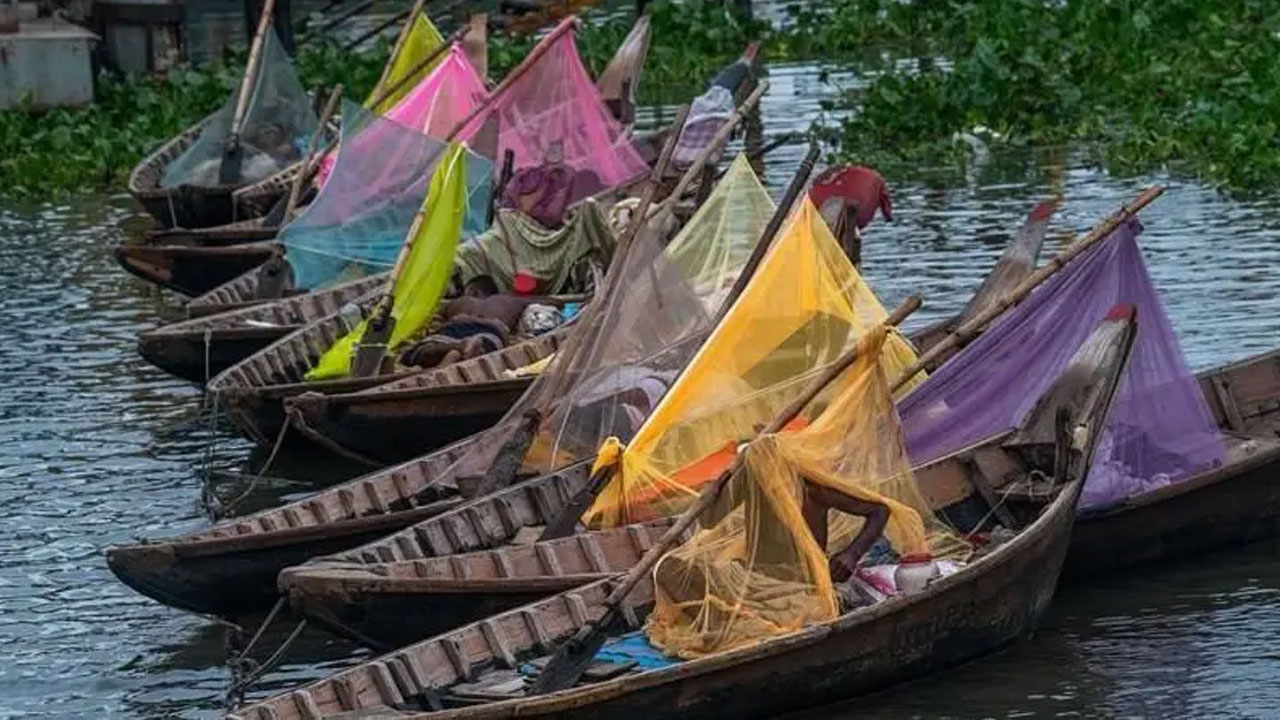 রাজধানীর বাইরেও ডেঙ্গুর প্রকোপ: হটস্পটে পরিণত হয়েছে ৫ জেলা