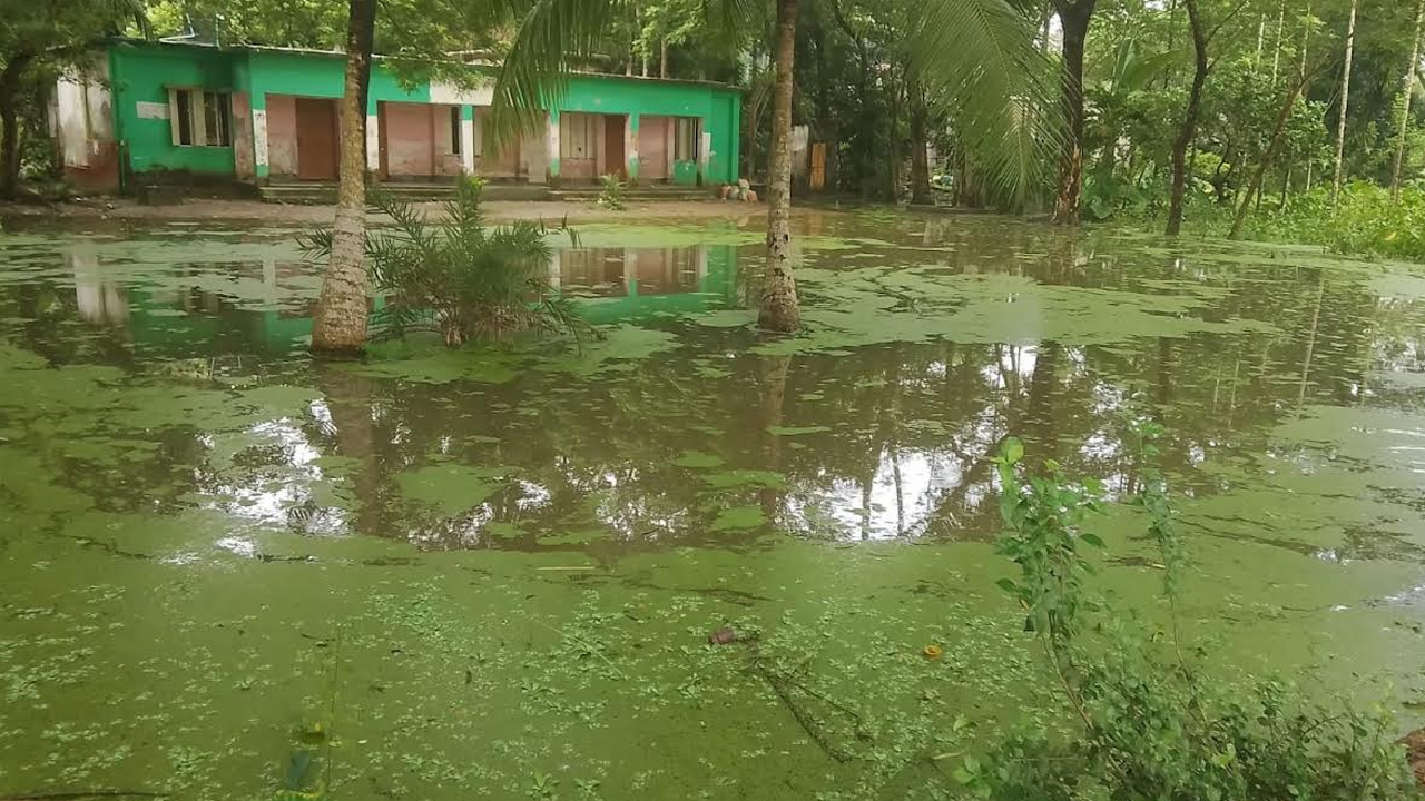 জলাবদ্ধতায় বিপর্যস্ত পশ্চিম রাজগুরু সরকারি প্রাথমিক বিদ্যালয়