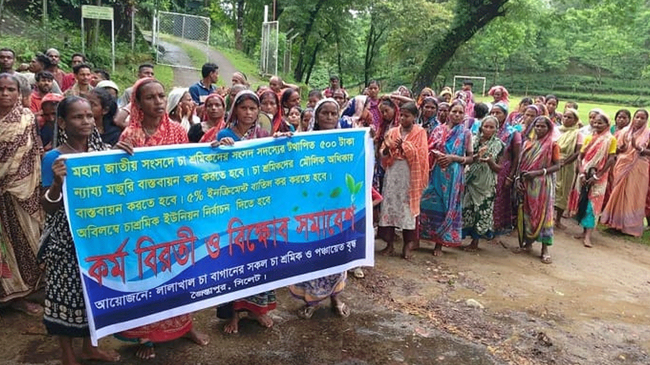 সিলেটে চা-শ্রমিকদের ২ ঘণ্টা কর্মবিরতি