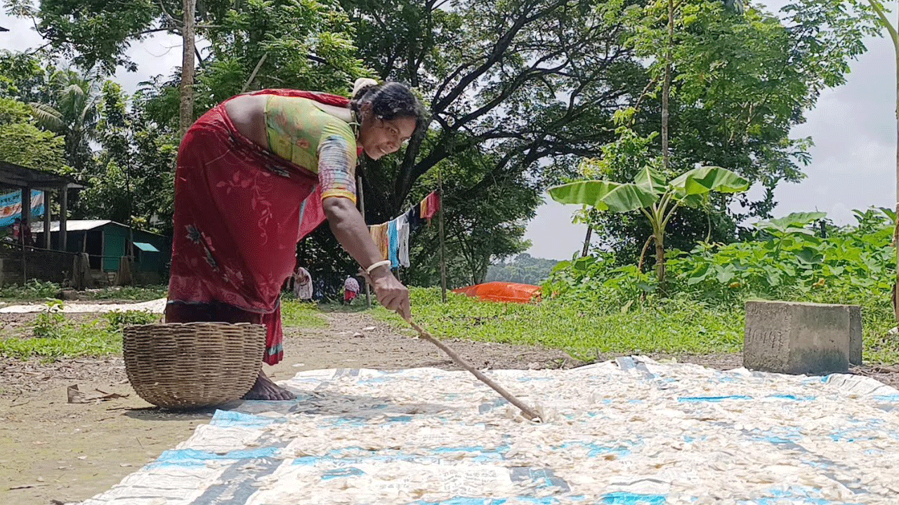 নড়াইলে মাছের আঁশ বিক্রিতে জেলেদের বাড়তি আয়