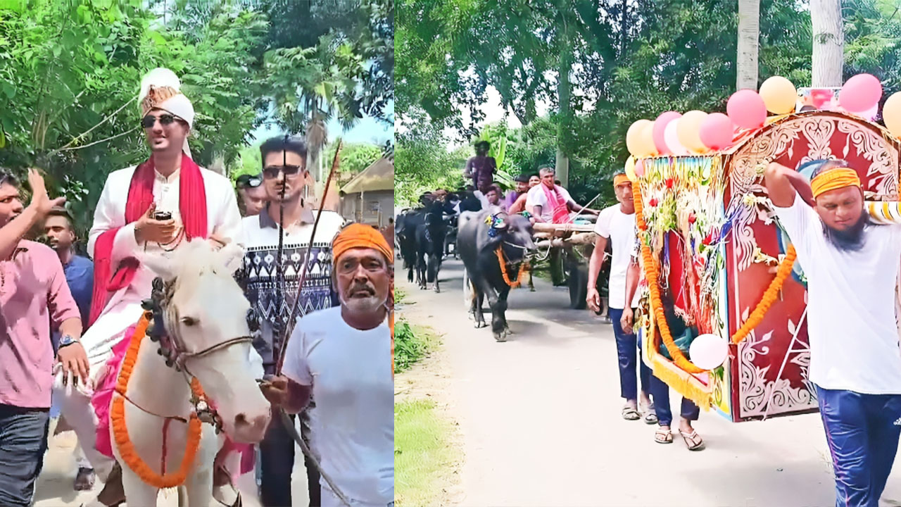 ঘোড়ায় বর, পালকিতে কনে; মাগুরায় ঐতিহ্যবাহী বিয়ে