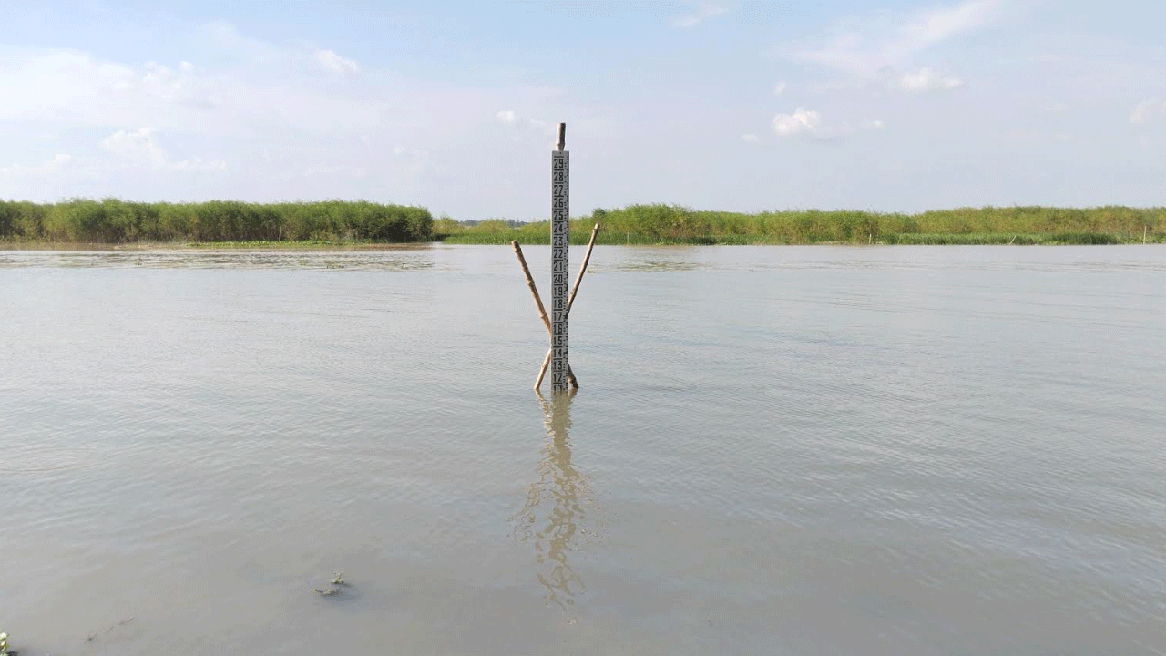 রাজবাড়ীতে পদ্মাসহ ৩ নদীতে পানি বাড়ছে, বন্যার আশঙ্কা নেই