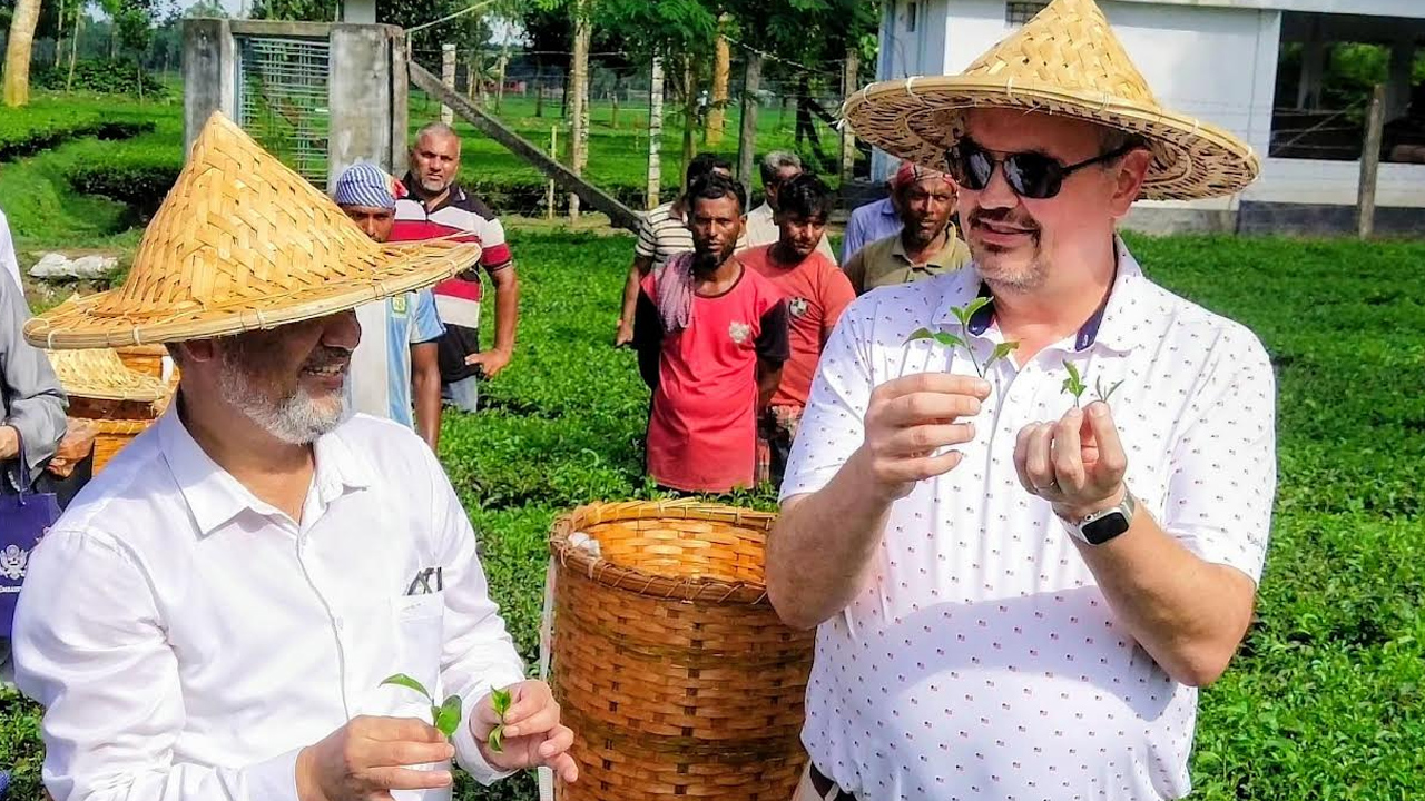 ঠাকুরগাঁওয়ে সমতল চা-বাগান পরিদর্শনে মার্কিন রাষ্ট্রদূত