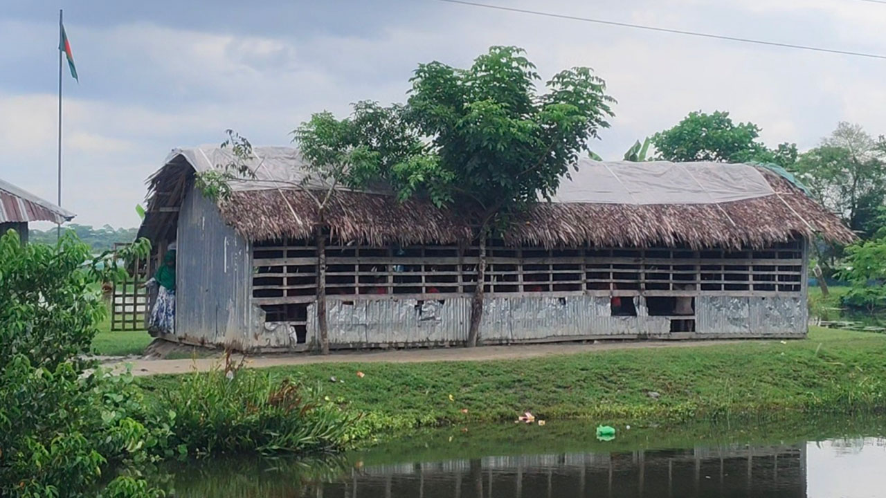 স্কুল ভবন নেই ৫ বছর, ছাপরাঘরে ৯৬ শিক্ষার্থীর পাঠদান