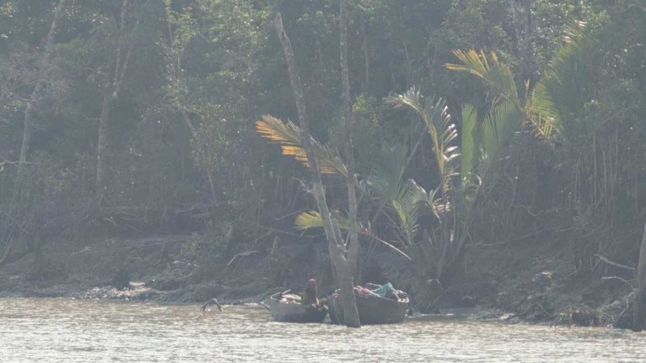 তিন মাসের নিষেধাজ্ঞা শেষে সুন্দরবনে পর্যটন মৌসুম শুরু হলো