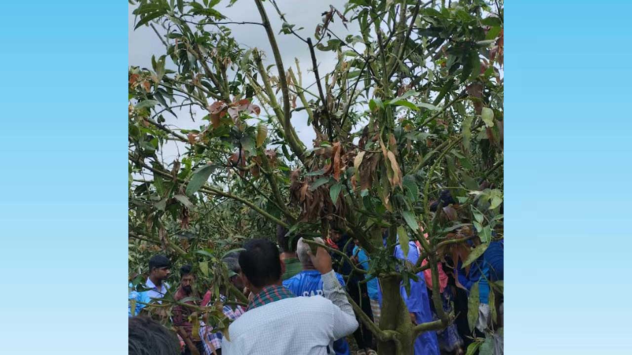 নওগাঁর সাপাহারে গ্রামপুলিশ রুবেল হকের ঝুলন্ত মরদেহ উদ্ধার