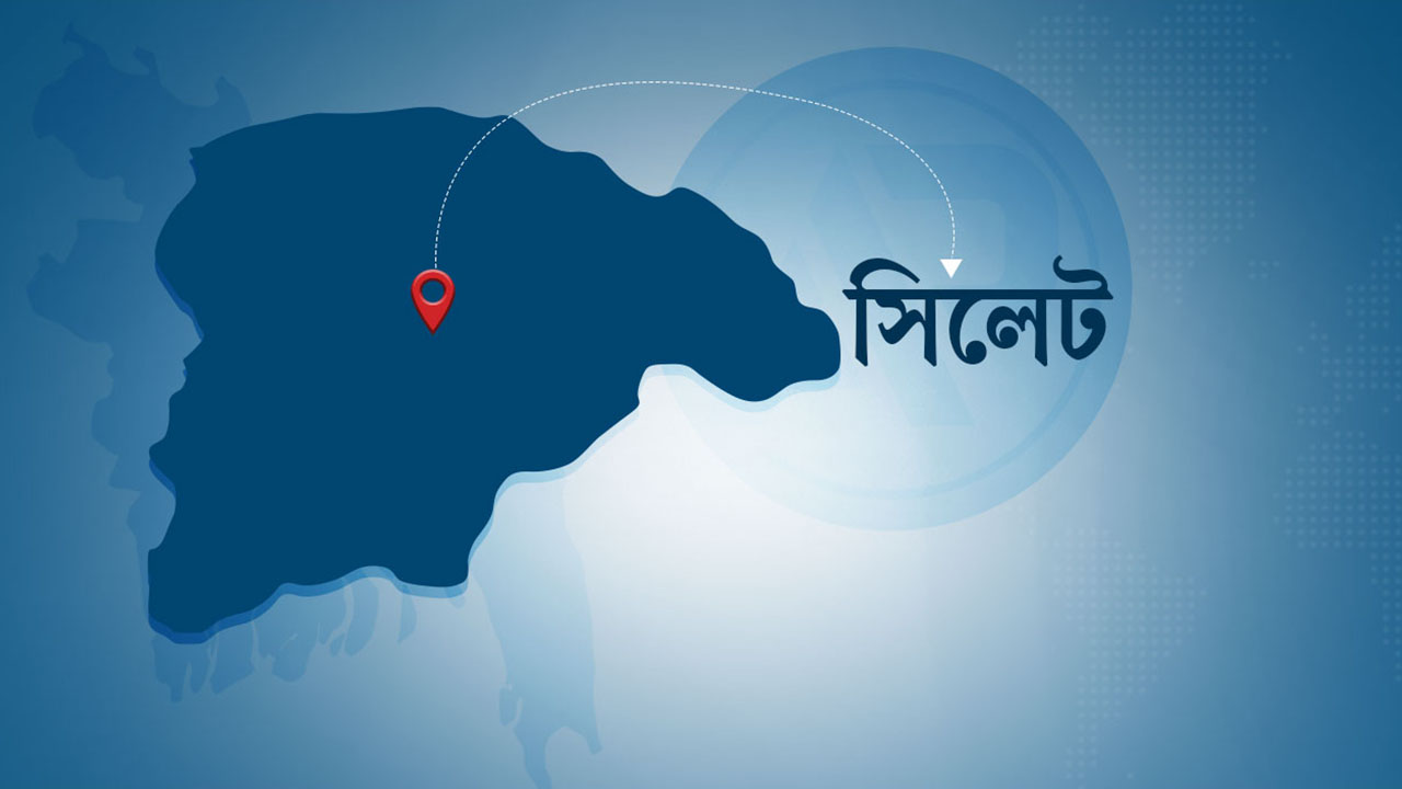 সিলেটে গর্ভবতী মা ও শিশু মায়ের আত্মহত্যা