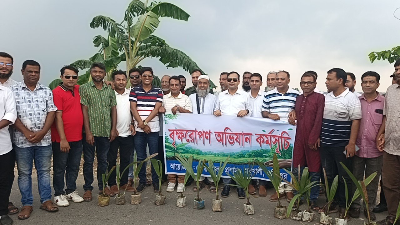 মধুখালীতে দুই কিলোমিটার সড়কে তালগাছ রোপণ করা হয়েছে