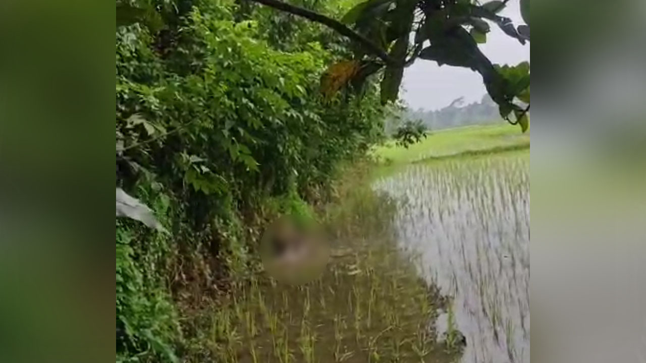 বরুড়ায় মাটিচাপা মরদেহ উদ্ধার করেছে পুলিশ