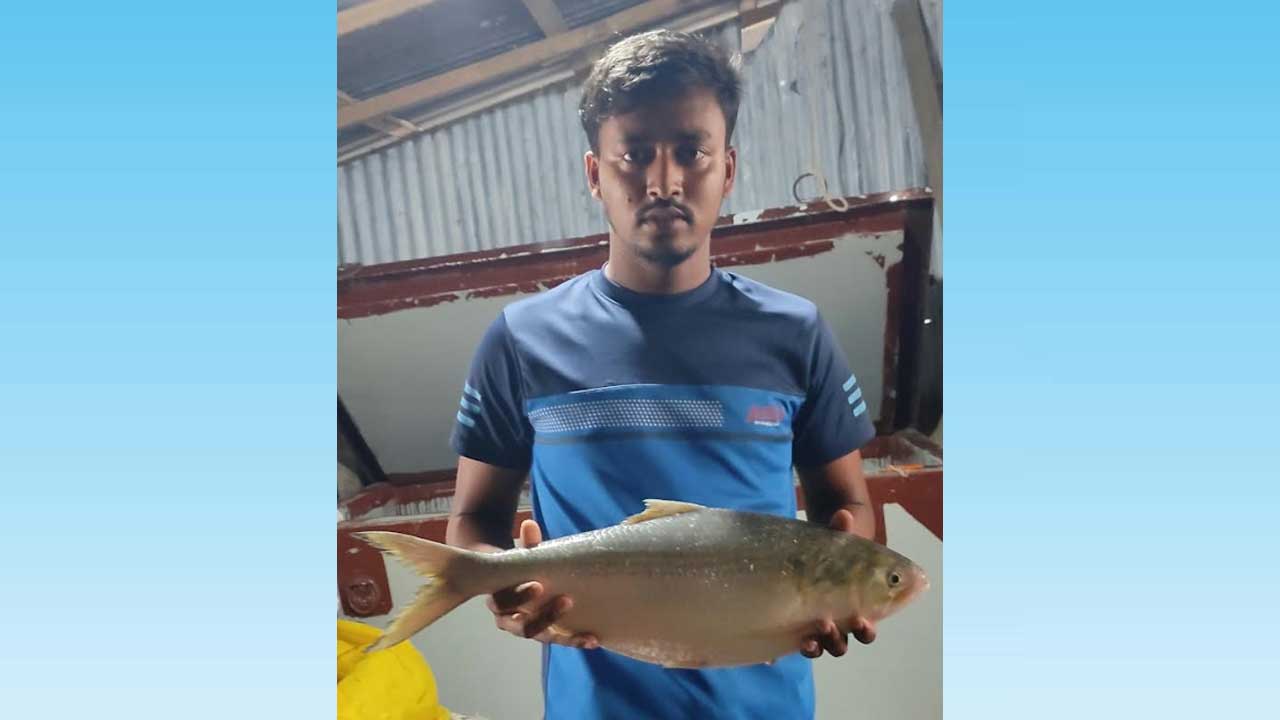 মেঘনায় আড়াই কেজি বিশাল ইলিশ ধরে নিলামে বিক্রি হলো