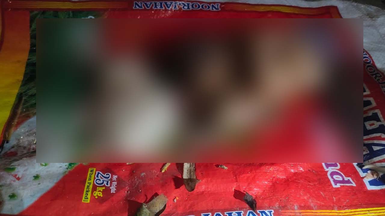 বরিশালে ময়লার স্তূপে উদ্ধার দুই নবজাতকের মরদেহ