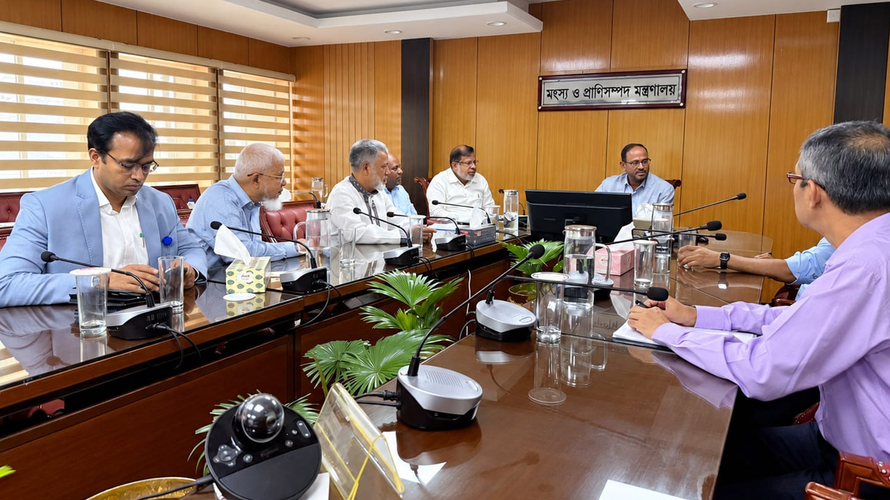 উৎপাদন বাড়িয়ে ডিম-মাংসের দাম যৌক্তিক রাখতে হবে