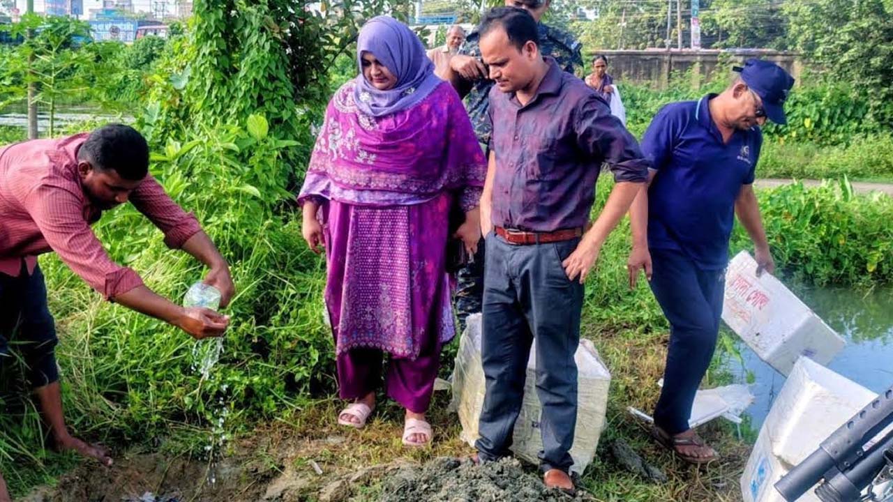 ফেনীতে জেলি পুশ করা চিংড়ি জব্দ