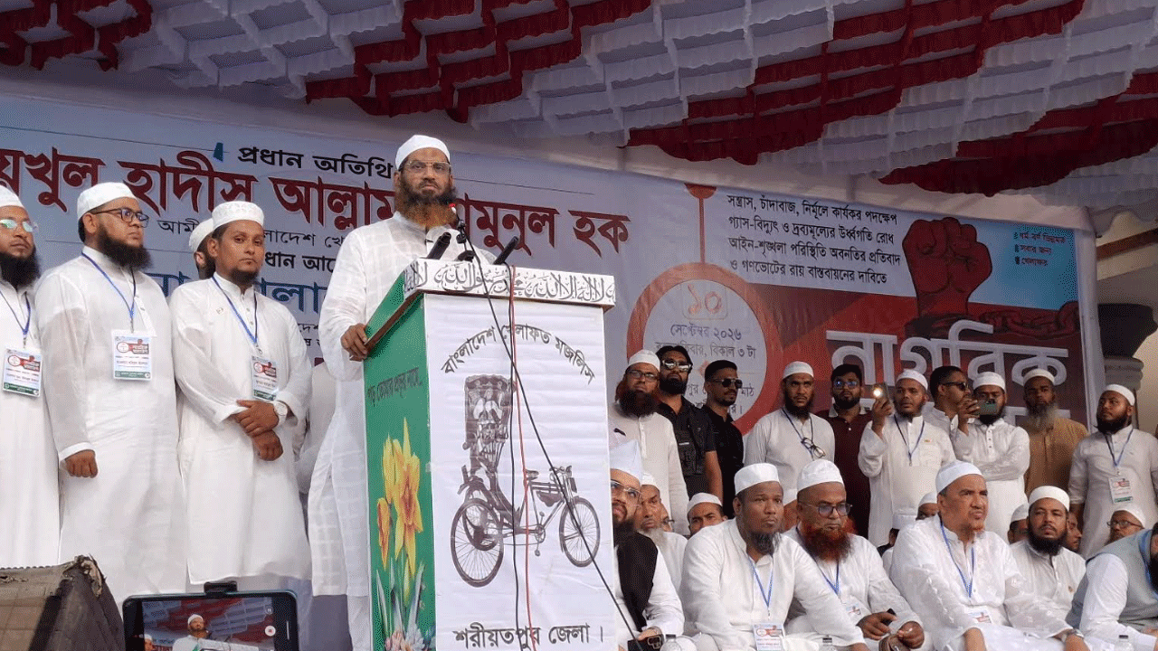 যেই ক্ষমতায় যায়, সেই হাসিনা হতে চায়: মামুনুল হক