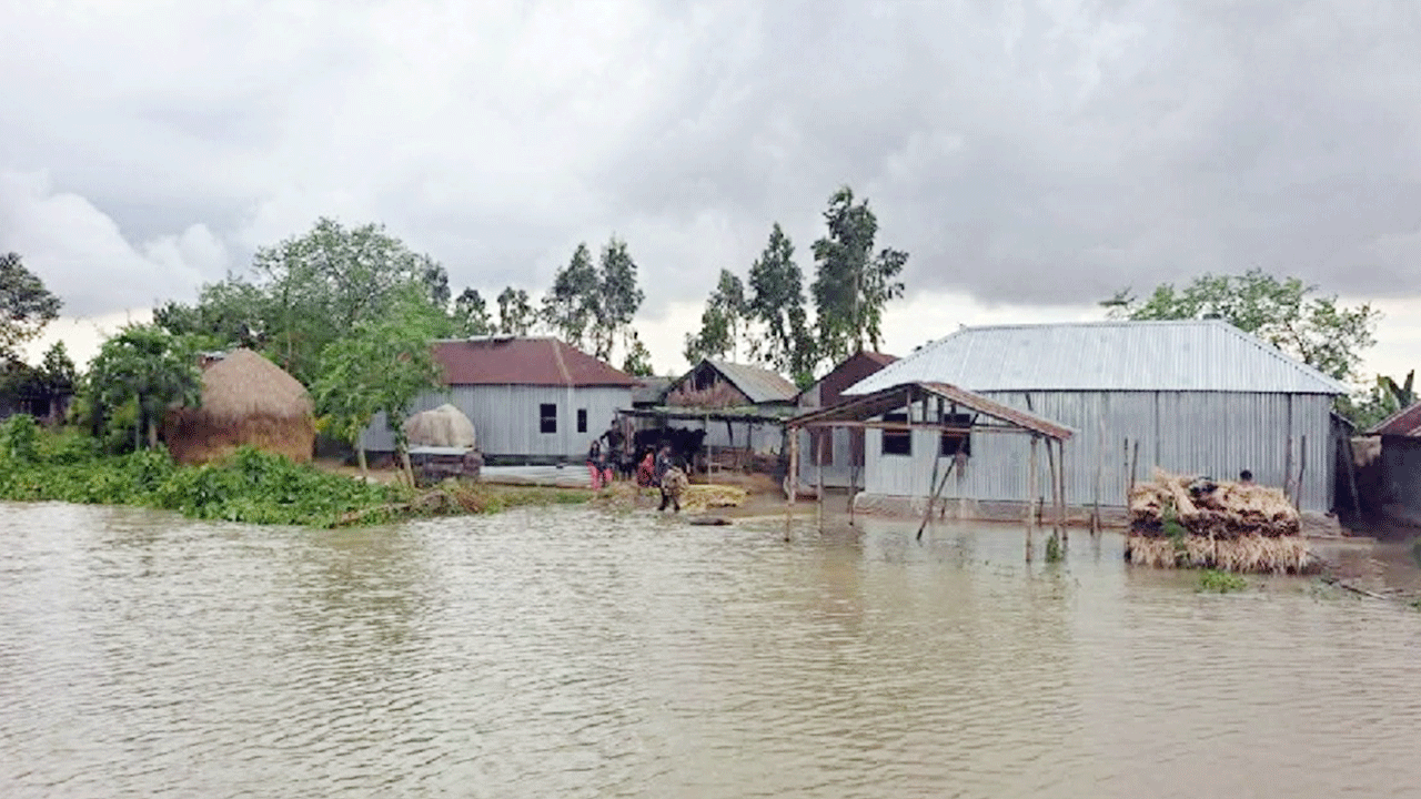 কুষ্টিয়ায় পদ্মার পানি বাড়ায় ৫০ হাজার মানুষ পানিবন্দি