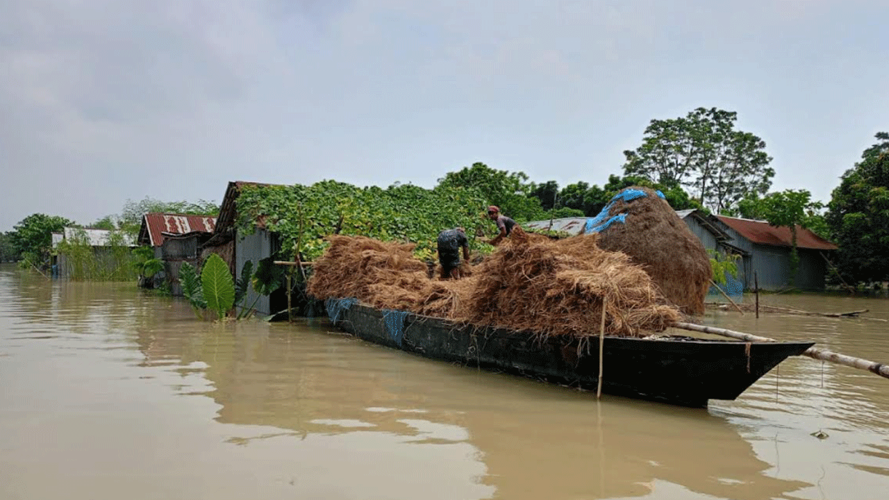 চাঁপাইনবাবগঞ্জের চরাঞ্চল প্লাবিত, পানিবন্দি ৩ হাজার পরিবার