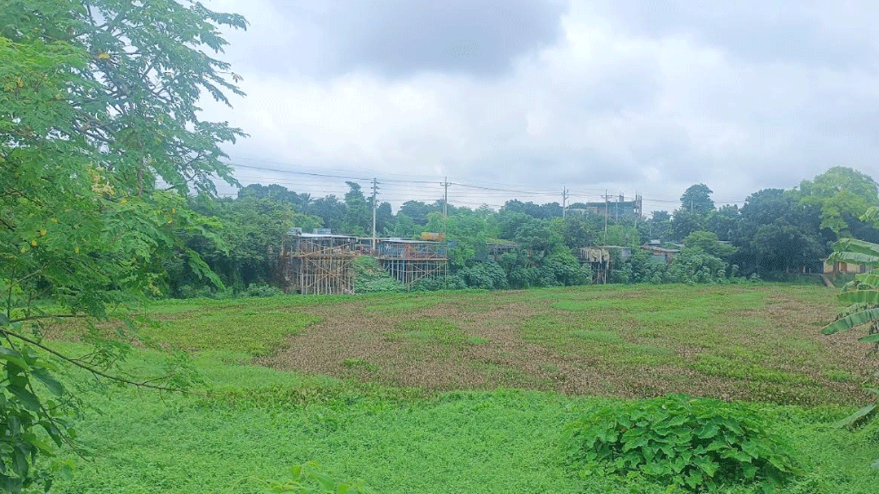 উৎসমুখ বন্ধ, কোটি টাকার দখল বাণিজ্যে মৃতপ্রায় কালীগঙ্গা