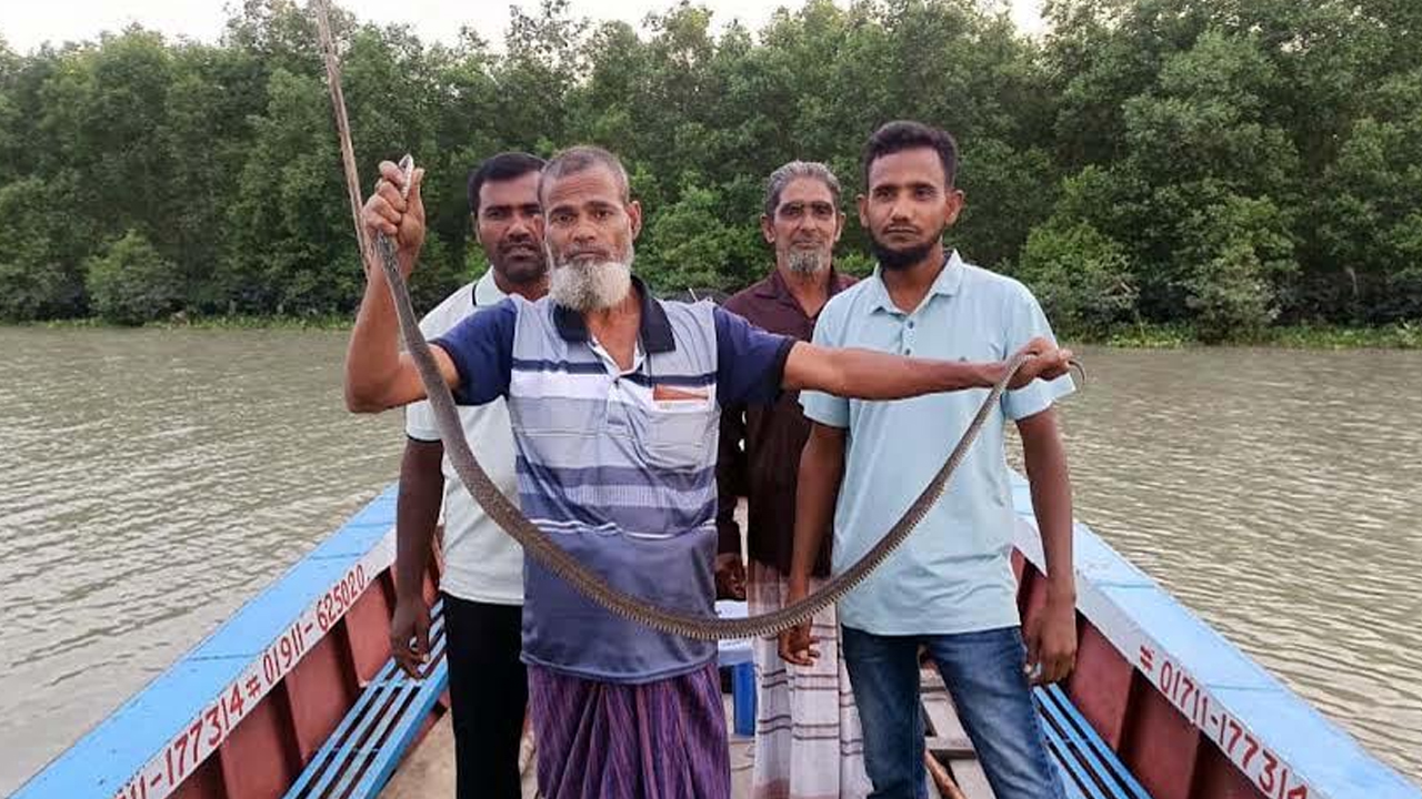 শামছু তালুকদারের ৩০ বছরের সাপ উদ্ধার যাত্রা