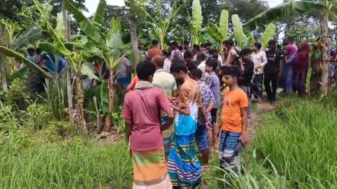 ধানক্ষেতের পাশে ৩ বস্তায় মিলল মরদেহের ৬ টুকরো