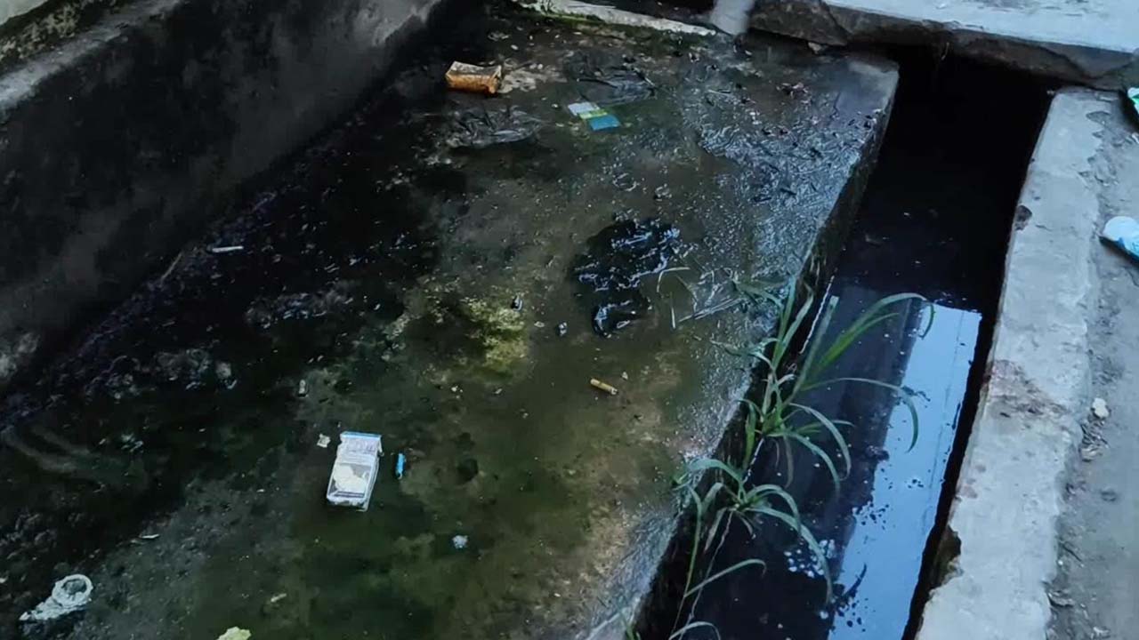 লক্ষ্মীপুরে ডেঙ্গু আতঙ্ক, মশা নিধনে নতুন কর্মসূচি