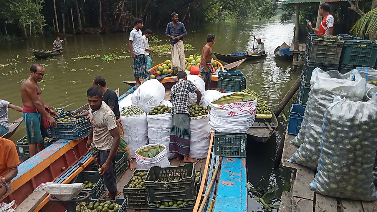 ঝালকাঠিতে ১২ কোটি টাকার আমড়া বাজার