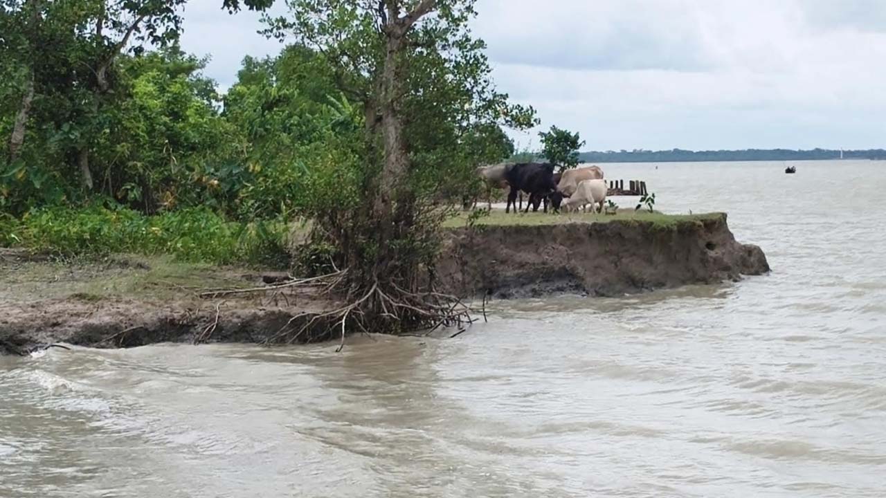 পিরোজপুরে নদীভাঙনে বিলীন হচ্ছ বসতবাড়ি ও জমি