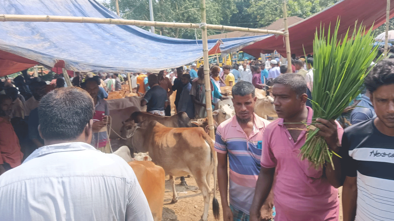 পঞ্চগড়ে পশুর হাটে অতিরিক্ত হাসিল আদায়ে ইজারাদারকে জরিমানা