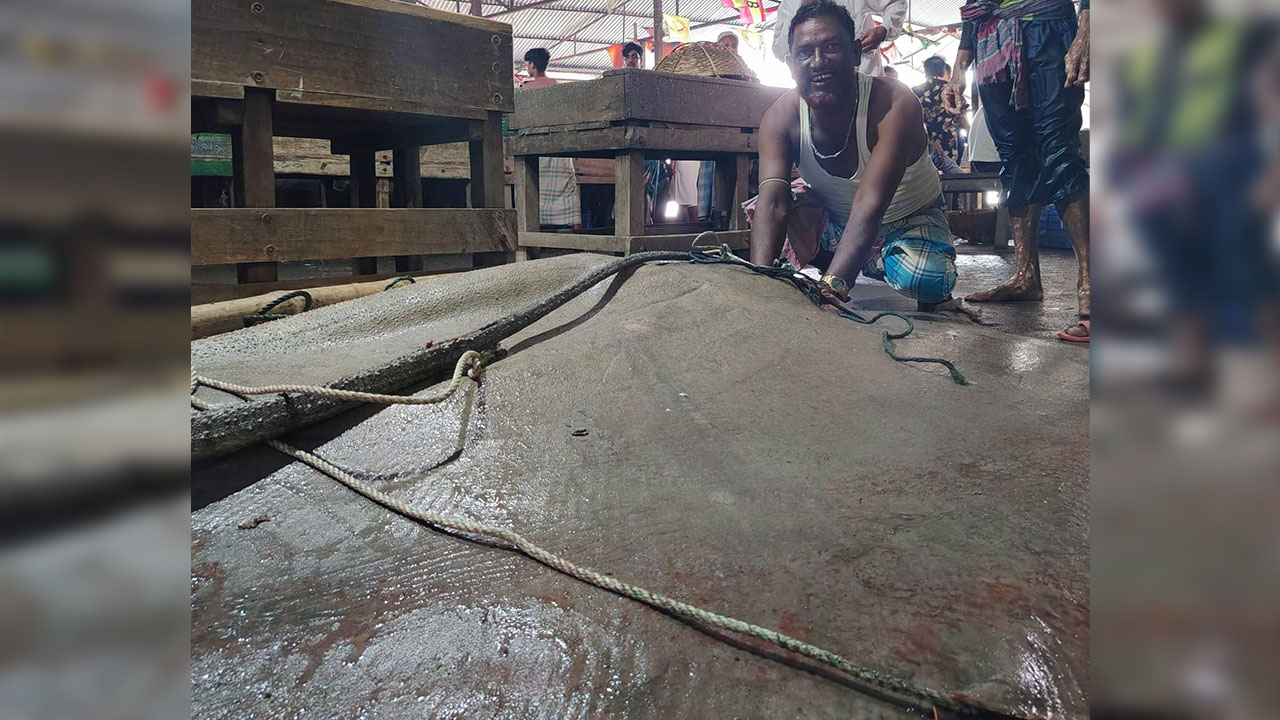 হাতিয়ায় শাপলা পাতা মাছ ৮৬ হাজারে বিক্রি