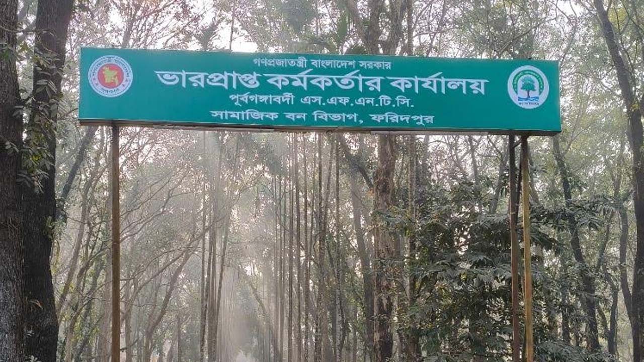 ফরিদপুরে নিজের জমির গাছ কাটতে বন বিভাগের অনুমতি বাধ্যতামূলক