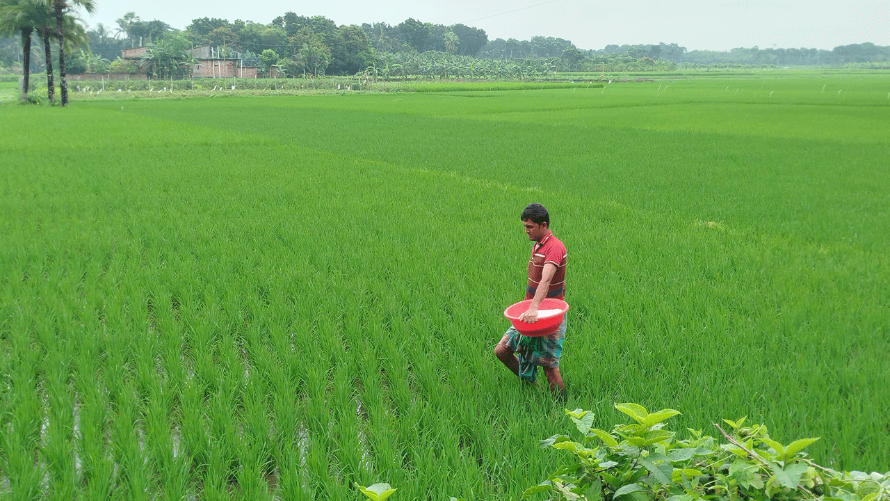 ঝিনাইদহে স্মার্ট কৃষি এখনও অনুমানের ওপর নির্ভরশীল
