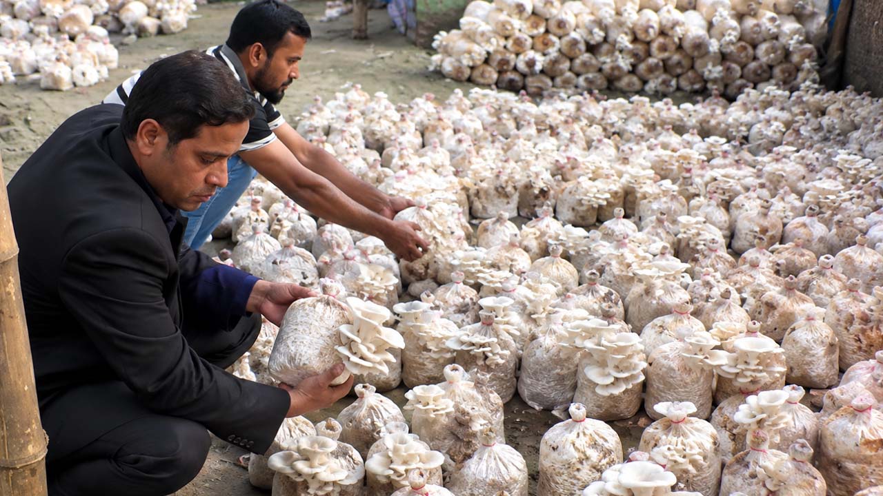 ৩৬ টাকায় শুরু, মাসে ৫০ হাজার টাকা আয় করছেন যুবক