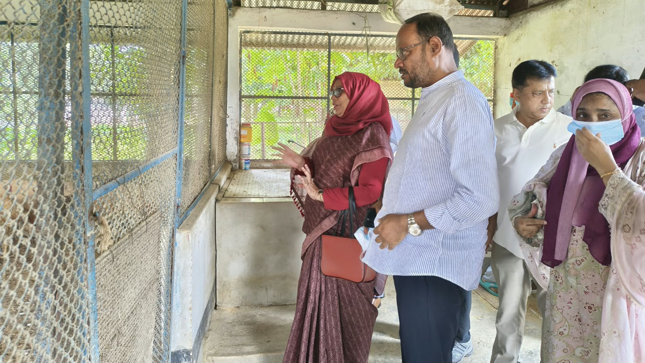 কেন্দ্রীয় মুরগির খামারে বাচ্চা উৎপাদন বাড়ানোর নির্দেশ প্রতিমন্ত্রীর