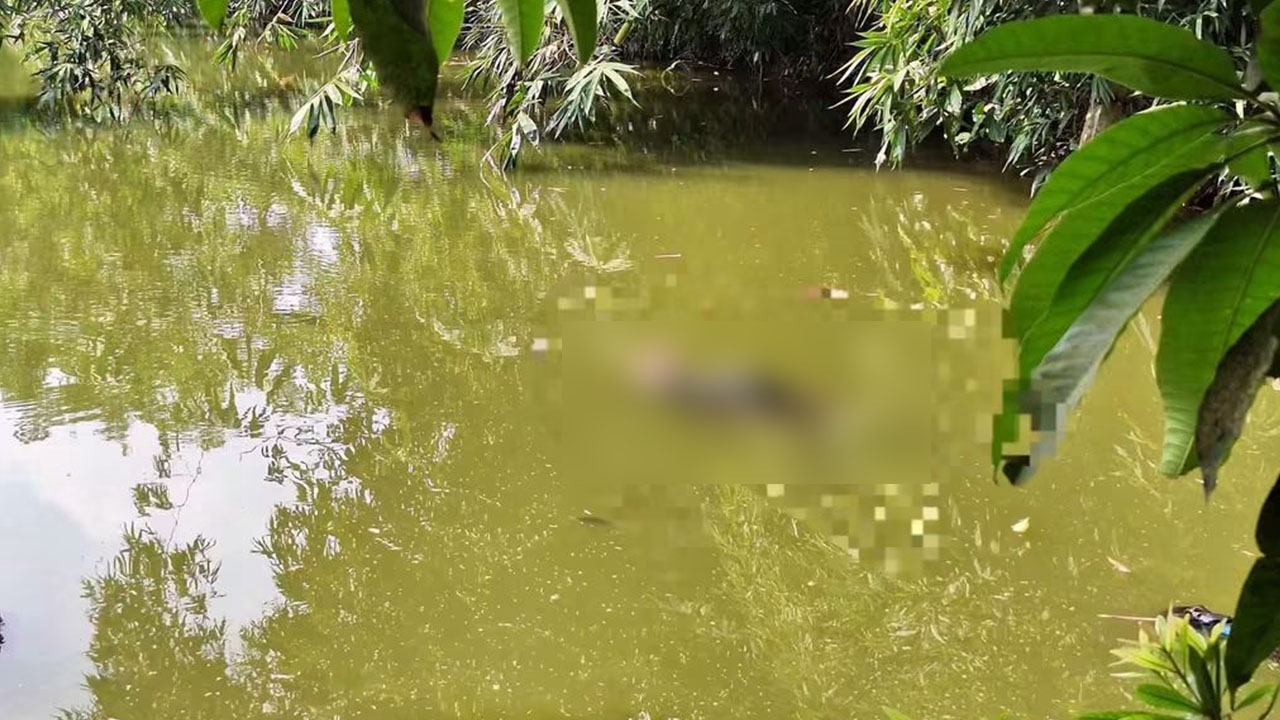 গাছের ডালে ফাঁস, নামাতে গিয়ে পুকুরে পড়ে মিরু