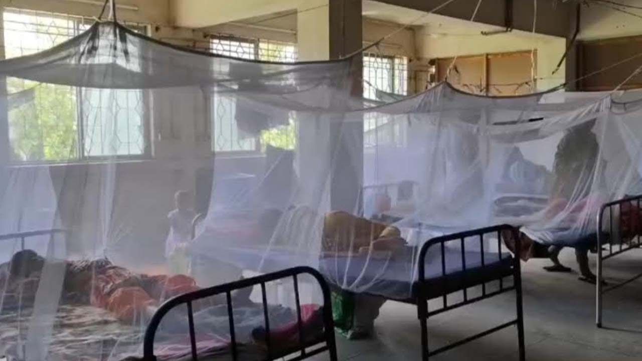 ২৪ ঘণ্টায় ডেঙ্গুতে আরও ২ মৃত্যু, ভর্তি ১ হাজার ২৩২