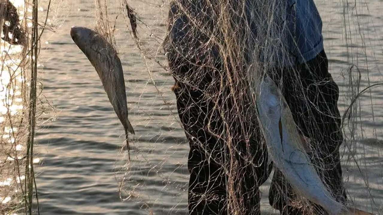 ইলিশে আয় নেই, ঋণের কিস্তিতে দুশ্চিন্তায় ঝালকাঠির জেলেরা