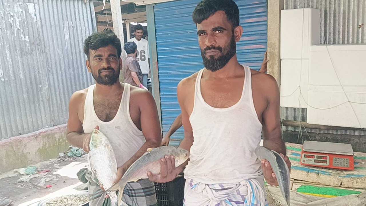 চাঁদপুরে ইলিশের আকাল, বাজারে চড়া দাম