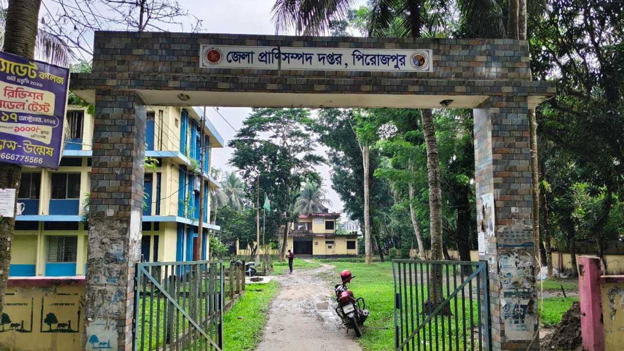 পিরোজপুরে প্রাণিসম্পদ দপ্তরের ৮৭টি পদের ৬২টিই শূন্য