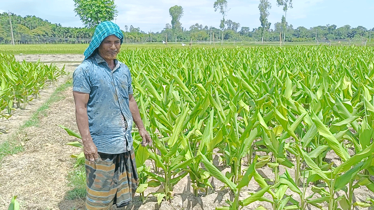 কুড়িগ্রামে মাটির স্বাস্থ্য কার্ড চালু, কৃষকদের ভোগান্তি
