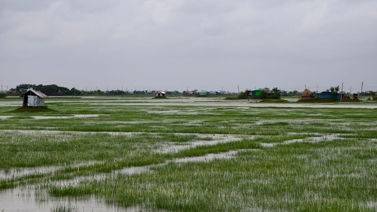 মেঘনায় বাপ-দাদার ভিটা, জাগা চরে প্রভাবশালীদের থাবা