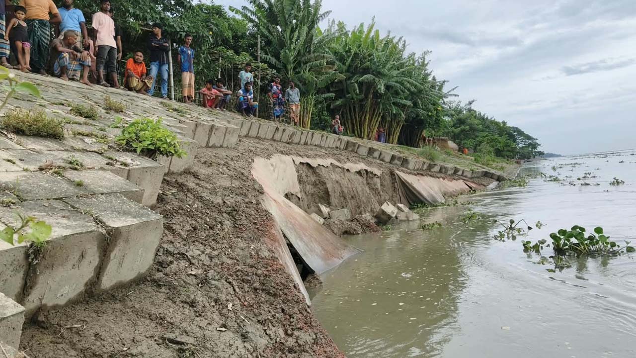 কুড়িগ্রামে ব্রহ্মপুত্র বাঁধ ধসে ৪০ মিটার বিলীন