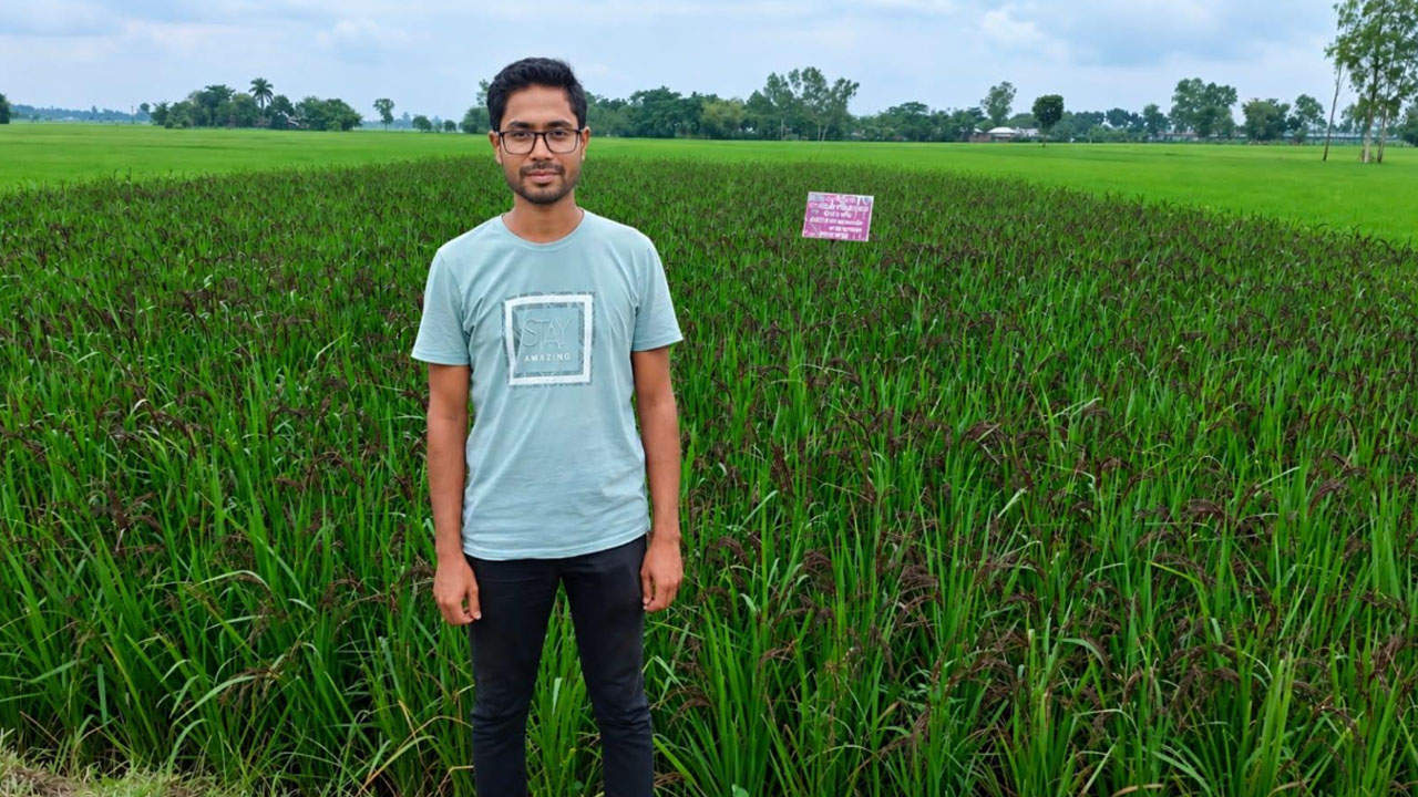 অনলাইনে বীজ কিনে শুরু
