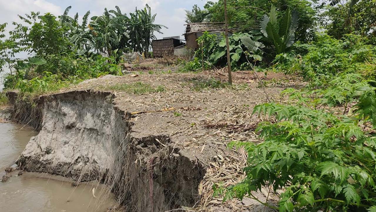 বছরজুড়েই সিরাজগঞ্জের চরাঞ্চলে ভাঙন, ২ শতাধিক বাড়িঘর বিলীন