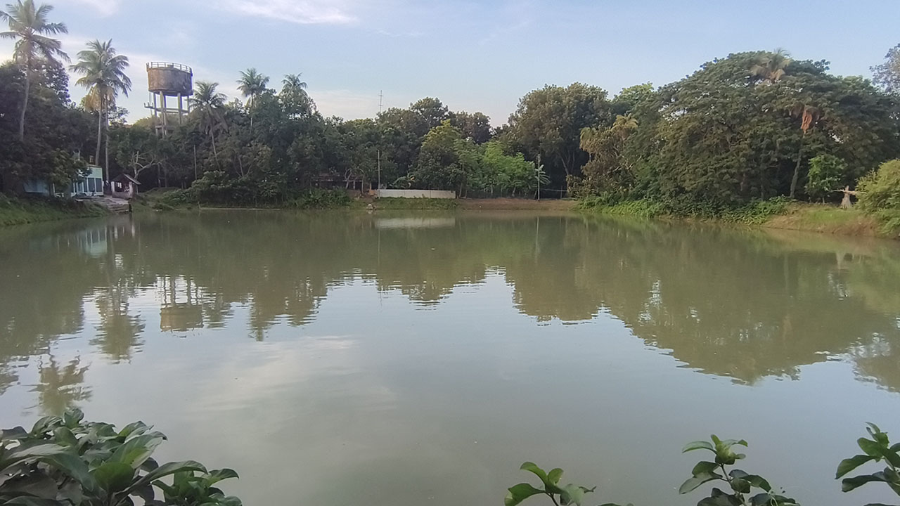 ঝিনাইদহে পাউবোর ১৩ পুকুর বেদখলে