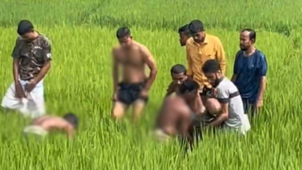 ময়মনসিংহে বিদ্যুতের ছেঁড়া তারে দুই ভাই নিহত