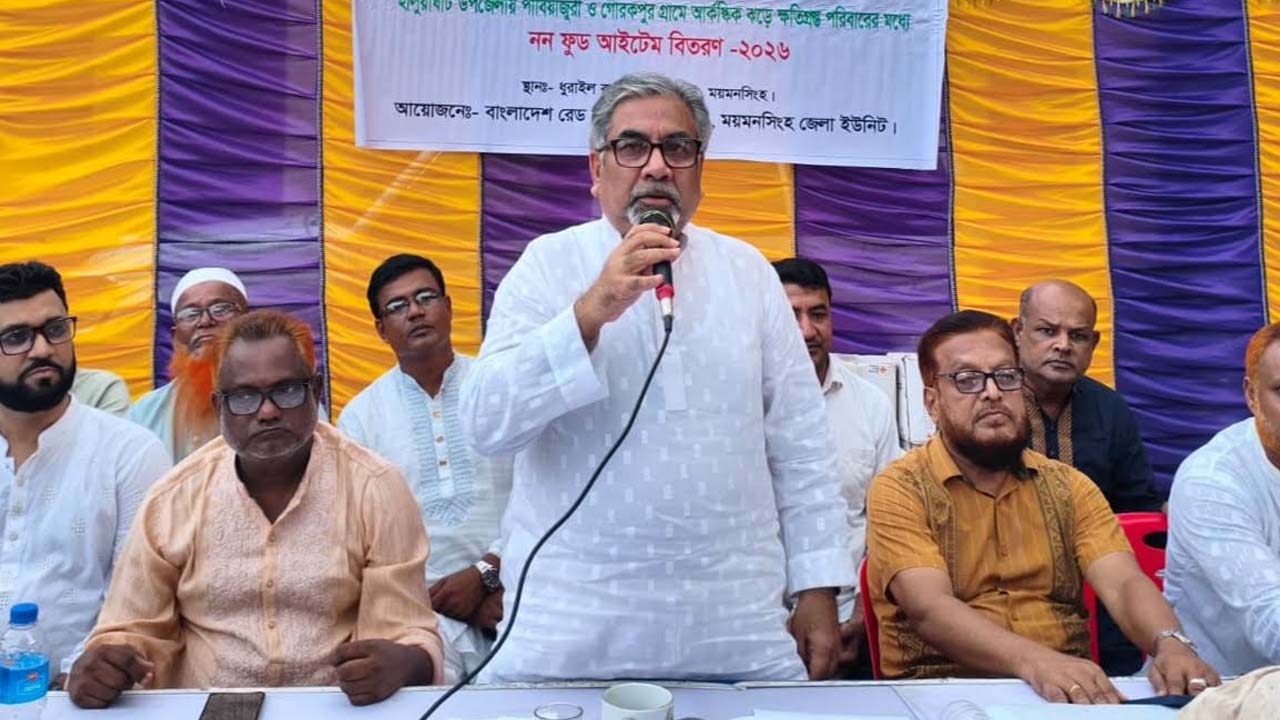 প্রিন্সের বক্তব্য: প্রধানমন্ত্রী আয়রন ম্যান