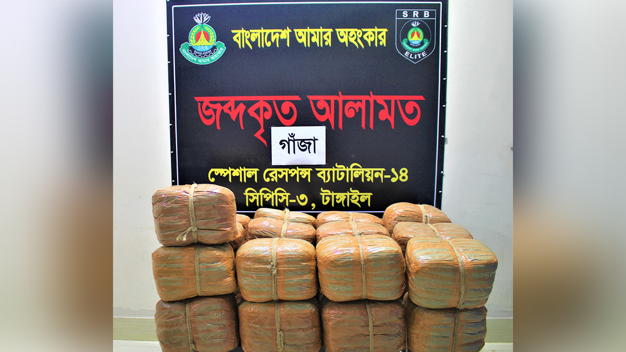 টাঙ্গাইলে ১০০ কেজি গাঁজাসহ কৃষক দল নেতা ও আরও
